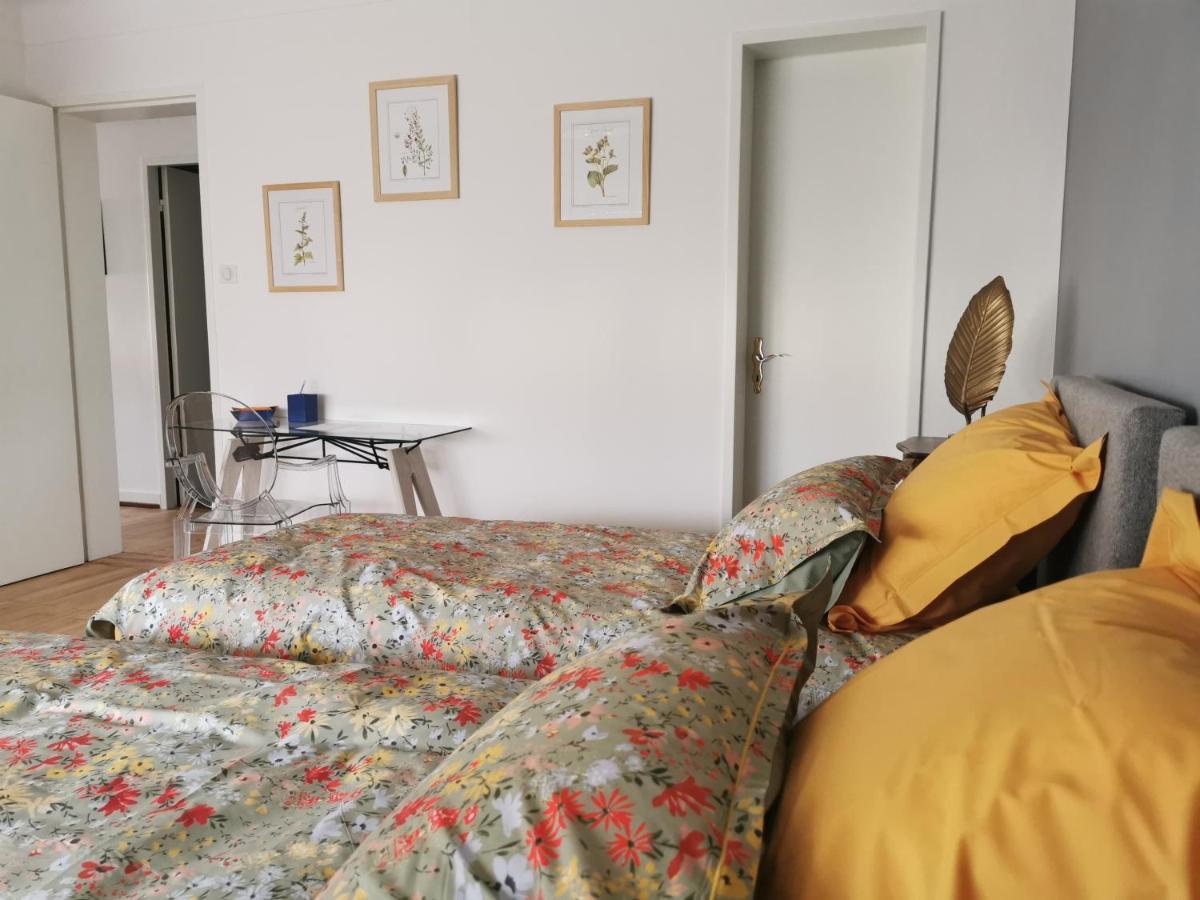 La Maison De Lucie - Grande Maison Ideale En Famille Ou Entre Amis - Jardin - Parking Gratuit Селеста Екстер'єр фото